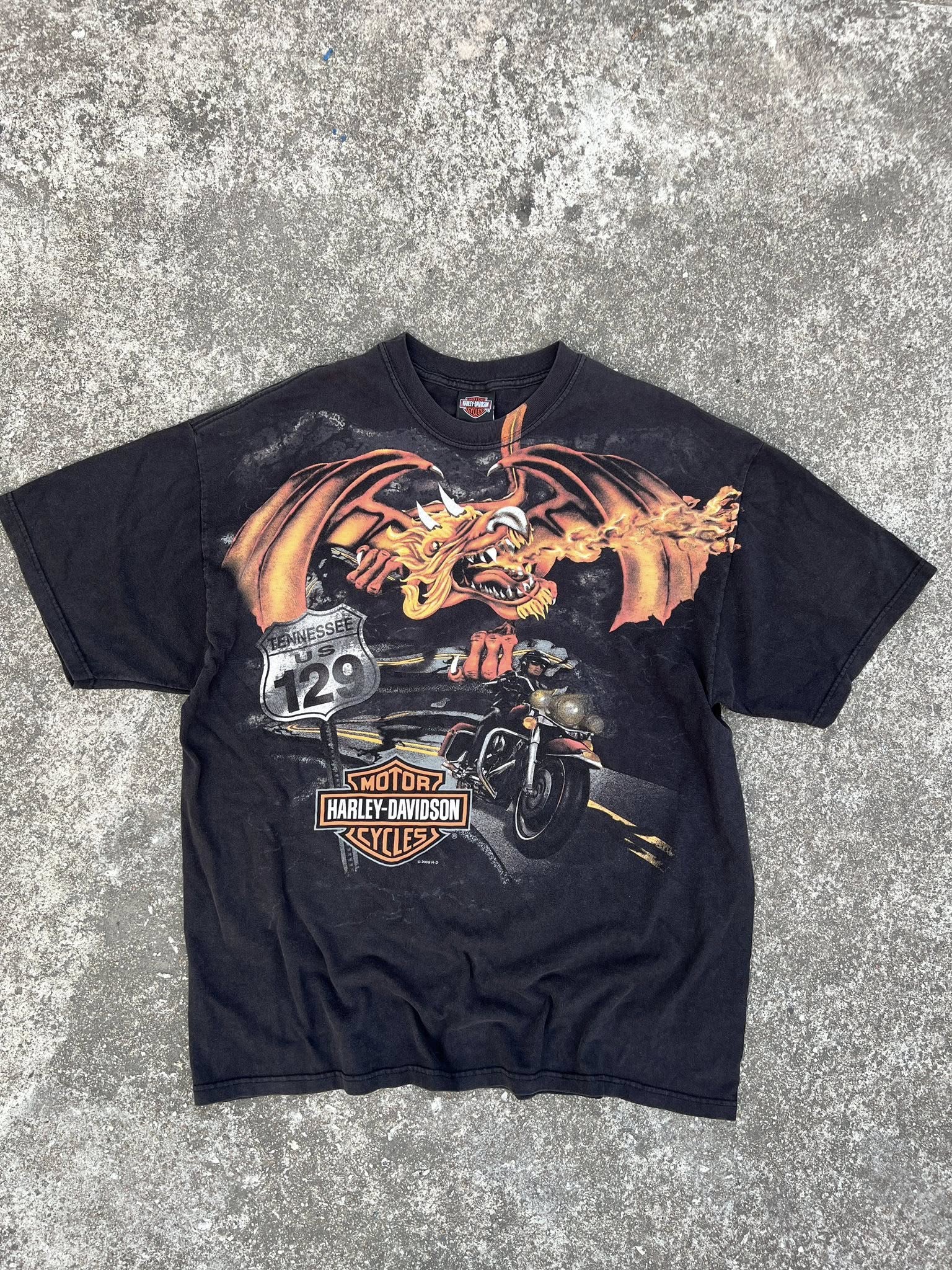 Harley HD. 🐲🐲 ตอกปี 2009 H-D