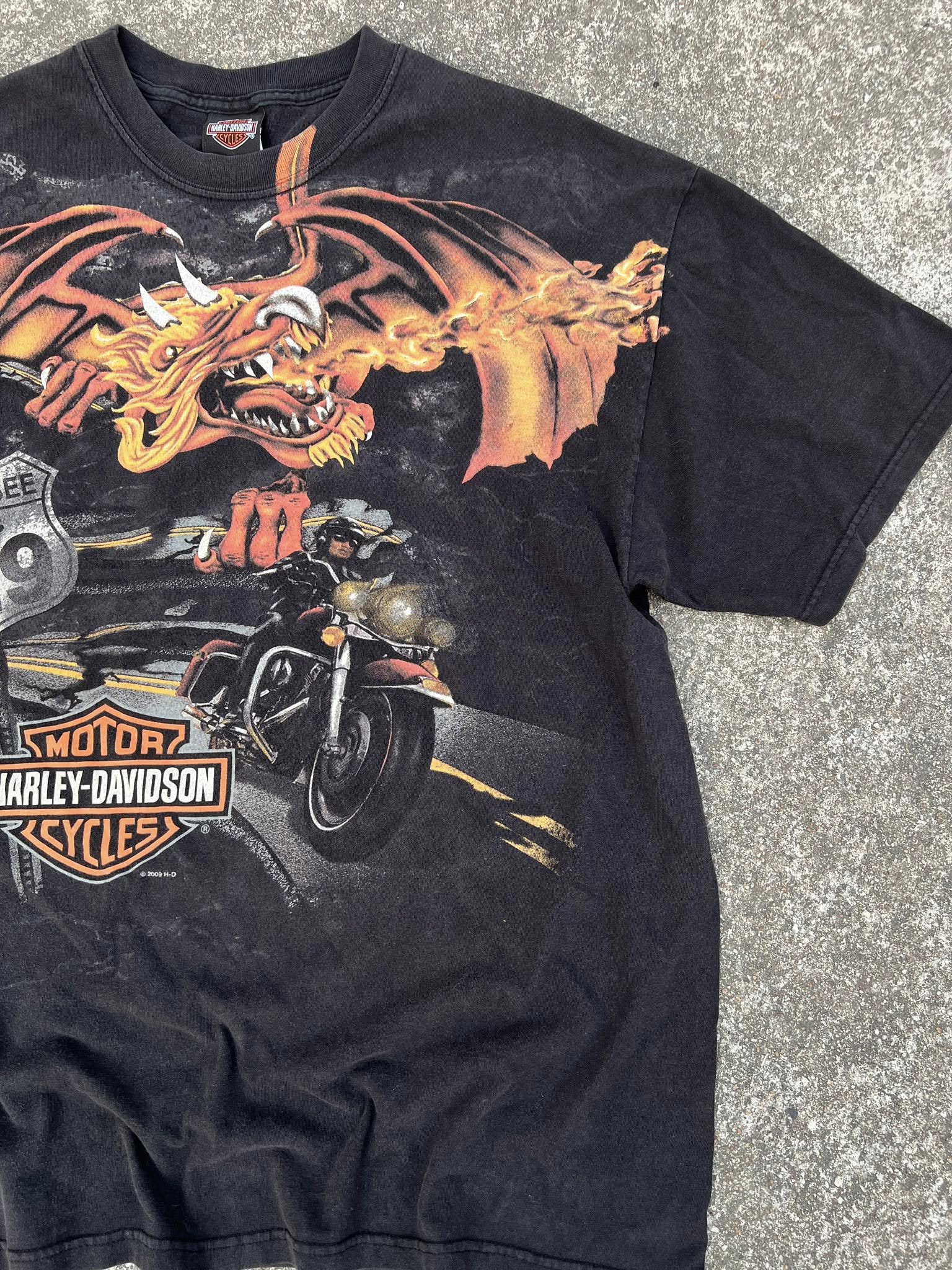 Harley HD. 🐲🐲 ตอกปี 2009 H-D