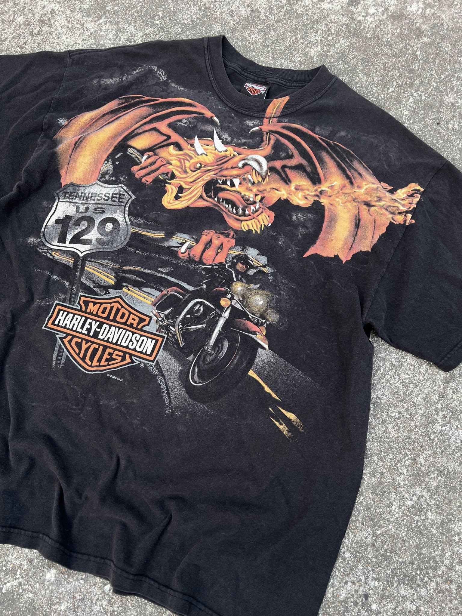 Harley HD. 🐲🐲 ตอกปี 2009 H-D