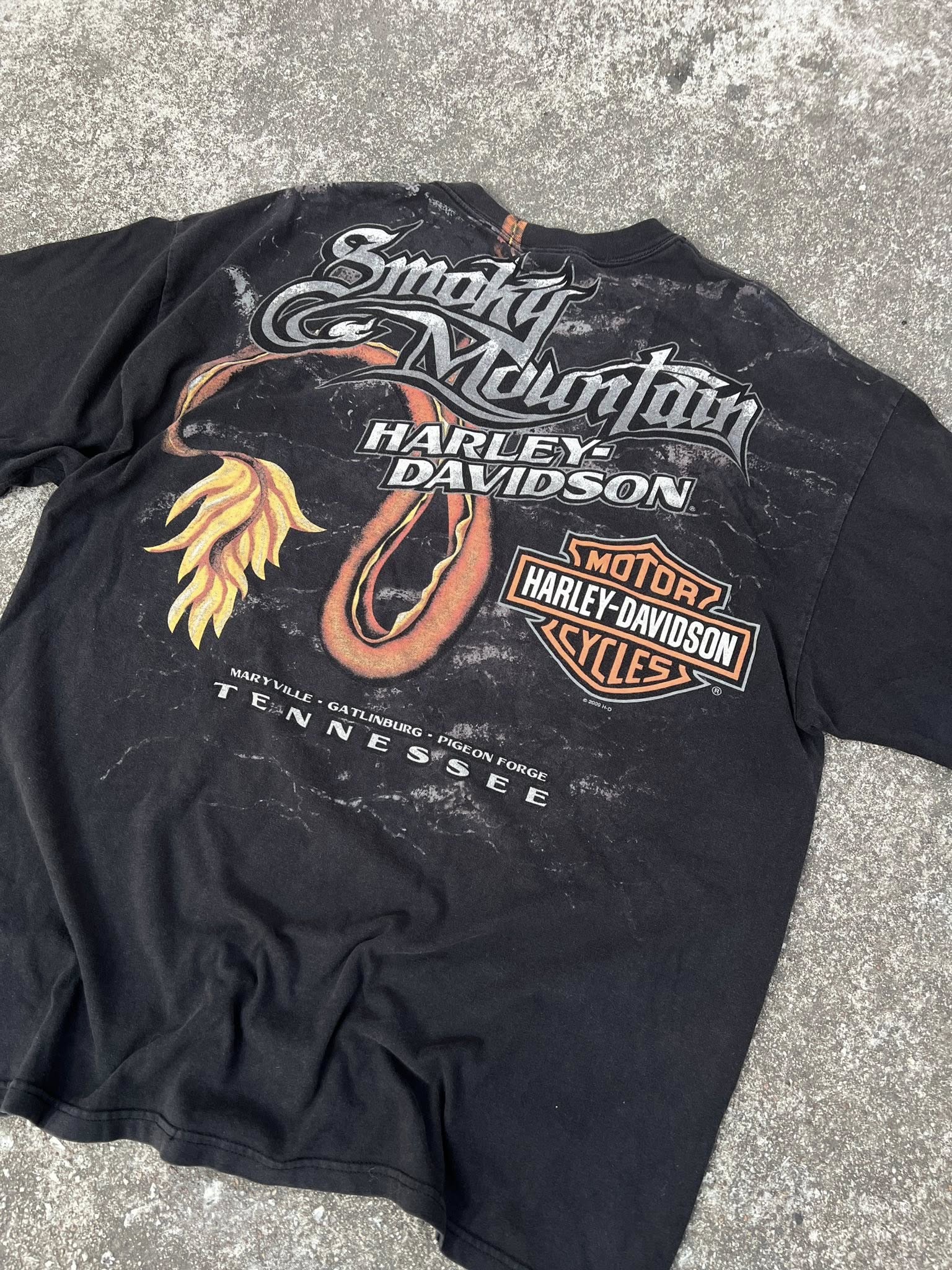 Harley HD. 🐲🐲 ตอกปี 2009 H-D